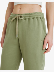 4 Surf Stoked Brushed - Joggers for Women Green ERJFB03491 Roxy