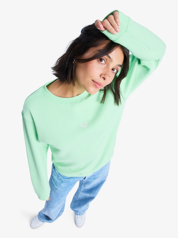 3 Surf Stoked Brushed - Sweatshirt for Women Green ERJFT05018 Roxy
